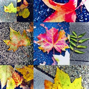Herbst_2_Lena_Wittneben_Coach_hamburg